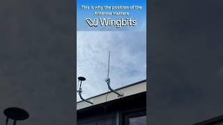 How I Increased Wingbits Earnings by 700%!
