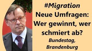 Misstrauen der Wähler groß. 71 wollen Zurückweisungen an den Grenzen