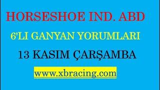 13 KASIM 2024 ÇARŞAMBA HORSESHOE INDIANAPOLIS 6’LI GANYAN TAHMİNİ