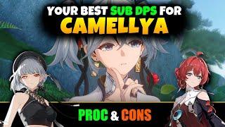 Who is the BEST Sub DPS for CAMELLYA? | Wuthering Waves