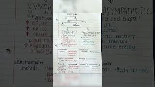 Autonomic nervous system physiology and nervous system