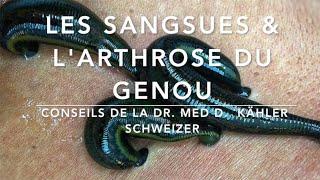 Les sangsues & l'arthrose du genou. Conseils de la Dr. Med. Kähler Schweizer. Par M. DRAKE.