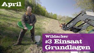 Wildacker #3 Einsaat Grundlagen| April | Ein Jagdjahr durchs Jagdrevier