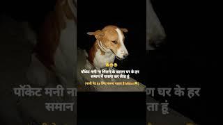 video 2 @Atulvalogs2025 #haryana #khota#trnding #video #viralvideo #vlog #masti #jabardasth #shorts