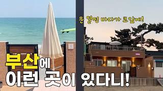 부산여행. 바다가 코 앞인 민박집.  해수욕장 전세내고 바닷가에서 와인을️ 여름에 마시면 좋을 화이트 와인추천. 진정한 힐링여행. 고양이 출연