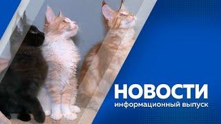 Новости от 8.08.2024г.