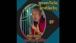 P.37/89 གྲུབ་མཐའ་རིན་ཆེན་ཕྲེང་བའི་ཞིབ་ཁྲིད།/The Precious Garland of Tenets / ཏྲེ་ཧོར་ཟླ་བ་ཚེ་རིང་།