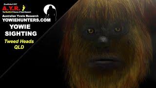 AYR Yowie / Bigfoot Sighting (Audio Report #198), at Tweed, New South Wales - Queensland