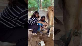 Life lo first time cow milk pithikinggg #ishqyouall #telugu #swv #funny #comedy #youtube #shorts