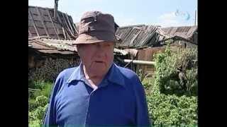 Соседи в шоке: 100 овец в одном доме | #ОТВ