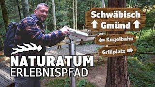 NATURATUM | Schwäbisch Gmünd - Erlebnispfad und Kugelbahn im Taubentalwald