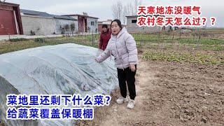 天寒地冻没暖气，生活在农村如何取暖？菜地里还剩下什么菜，自制保暖棚子给蔬菜保鲜