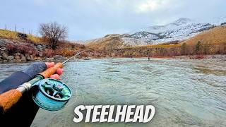 "Chasing Chrome" Fly Fishing the Methow River, Washington for Steelhead