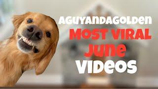 Funniest AGuyandAGolden VIRAL June Skits!