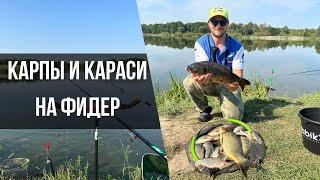 ФЛЭТ-ФИДЕР ПРОТИВ КЛАССИКИ! Ловля карпа и карася