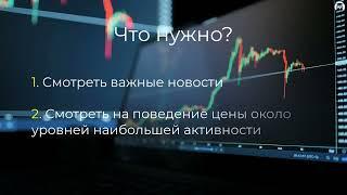 LevelHunter. Автоматический индикатор уровней активности. (Любовь Зуева, Издательство Info-dvd)