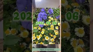 백수를 잘 살자 1 (꽉찬 세로 브이로그! 수어, 백수, 오늘)