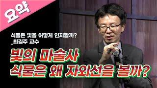 [명강 리뷰] 식물은 빛을 어떻게 인지할까? - 광합성과 빛  by 최길주ㅣ2015 가을 카오스 강연 '빛, 색즉시공' 4강