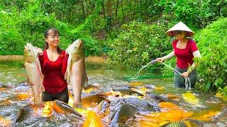 Rewind Timelapse - Harvesting A Lot Of Catfish Goes To Market Sell - Raising Chickens With Corn