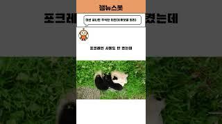 대선 후보별 관련테마주는 무엇일까?