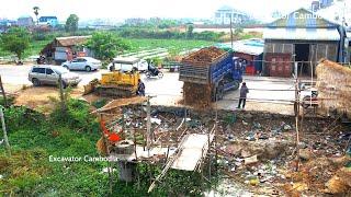 New Project!! Dozer D31P KUMATSU & Truck 5Ton pushing soil to remove pond To create a warehouse