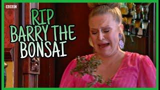 EastEnders - RIP Barry The Bonsai | 5th August 2021