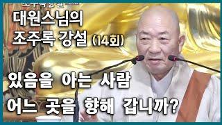 있음을 아는 사람 어느 곳으로 갑니까? [대원스님의 조주록 14회]