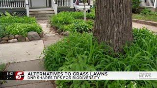 DNR shares tips for alternatives to grass lawns