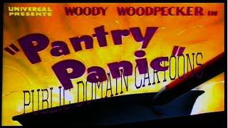 woody woodpecker pantry panic 1941