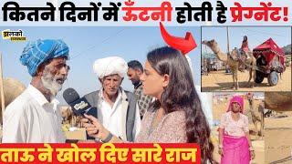 Pushkar मेले में Rajasthani Tau ने खोले ऊँट ऊँटनी के सारे राज, देखें मजेदार बातचीत ~  Rajasthan