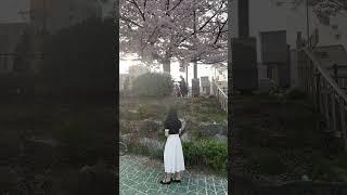 #신상 #라이브 #쇼핑 #셀러 #무료배송 #반팔 #다다마켓2