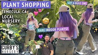 SHOPPING FOR INDOOR PLANTS  Affordable rare finds at Curby’s Nursery in Temecula California 