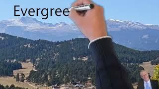 Real Estate Agents Evergreen Colorado - best real estate agents   listing agents evergreen co