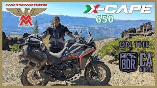 MOTO MORINI X CAPE 650 (NOR CAL) BACKCOUNTRY DISCOVERY ROUTE with @DorkintheRoad, @BigRockMoto