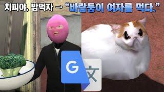 치피치피의 중성화 수1술 구글번역 더빙ㅋㅋㅋㅋㅋㅋ(웃참실패)