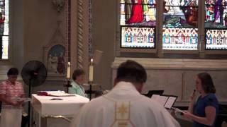 Sister Colleen Michelle Gibson SSJ — First Profession of Vows