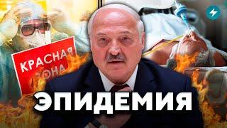 Началось! Опасный вирус в Беларуси: как защититься? // Новости Беларуси