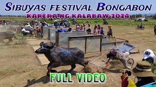 Sibuyas festival karera ng kalabaw 2024 full video