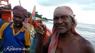 Fisherman’s life In Diamond Harbour In West Bengal | Diamond Harbour Fish Market | Boat | Hilsa