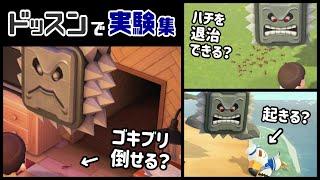 【あつ森】小ネタ検証！マリオ家具「ドッスン」で気になる事いろいろ実験してみた集【あつまれ どうぶつの森】@レウンGameTV