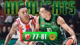 Zvezda vs Panathinaikos 77-81 Full Game Highlights - November 1, 2024 | Euroleague RS Round 7