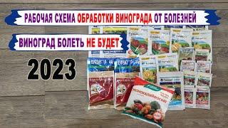  Эта СХЕМА ОБРАБОТКИ ВИНОГРАДА от болезней СПАСЕТ Ваш виноград. Фото основных болезней. 2023 год.