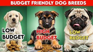 TOP 5 Budget Friendly Dog Breeds 2025  #dog #puppy #doglover #dogs