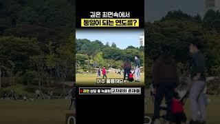 깊은 최면속에서 한국이 지구의 중심국가가 되고 통일이 되는 연도를? #최면 #수호천사 #통일 (220501_2/6)
