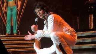 Steve Goodman - ELVIS IMITATOR -