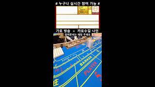 카지노 소통 실시간