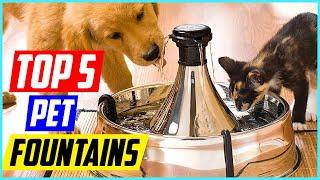 Best Pet Fountains 2021 [Top 5 Picks]