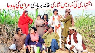 | Ramzi,Noori, Bilo ,Bhootna,Shoki, Sanam, Falak Sher,Funny Video  Rachnavi Tv