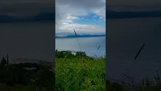 Homer halibut fishing capital #alaskathebeautiful  #fypviral  #fypシ゚