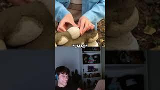Dantes VS Goatis AI On VEGANS 